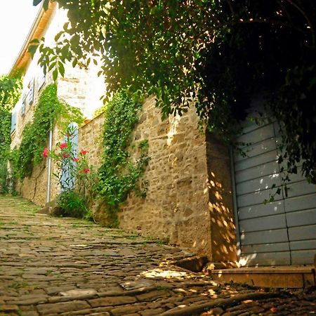 Ruine-Motovun Dh Βίλα Εξωτερικό φωτογραφία