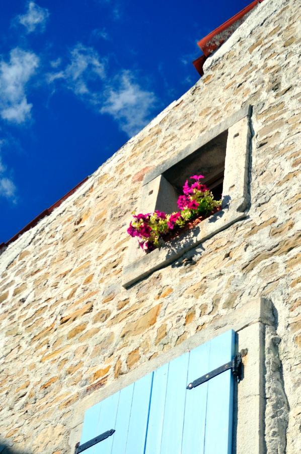 Ruine-Motovun Dh Βίλα Εξωτερικό φωτογραφία