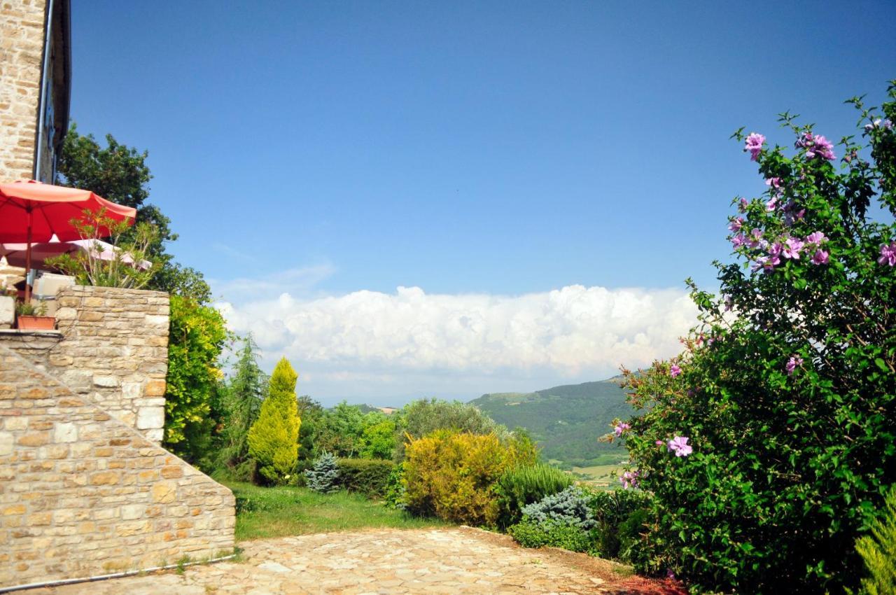 Ruine-Motovun Dh Βίλα Εξωτερικό φωτογραφία